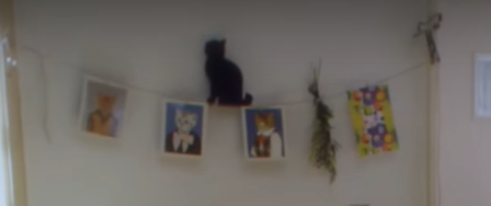 A clothesline decorated with pictures of cats. On top there is a black wall decoration shaped like a cat.